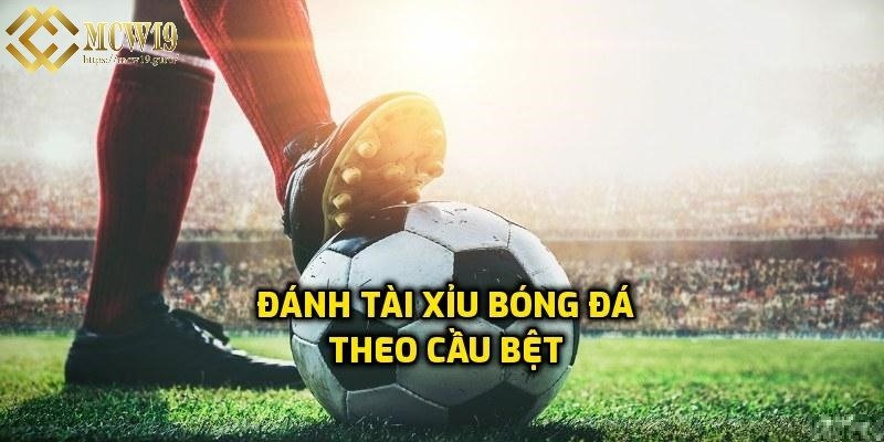 Một số cách soi cầu tài xỉu bóng đá với chiến thuật hiệu quả