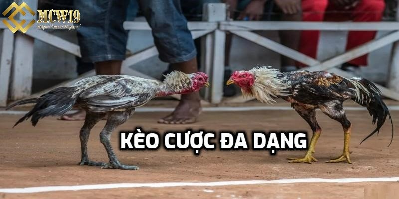 Đa dạng các kèo cược